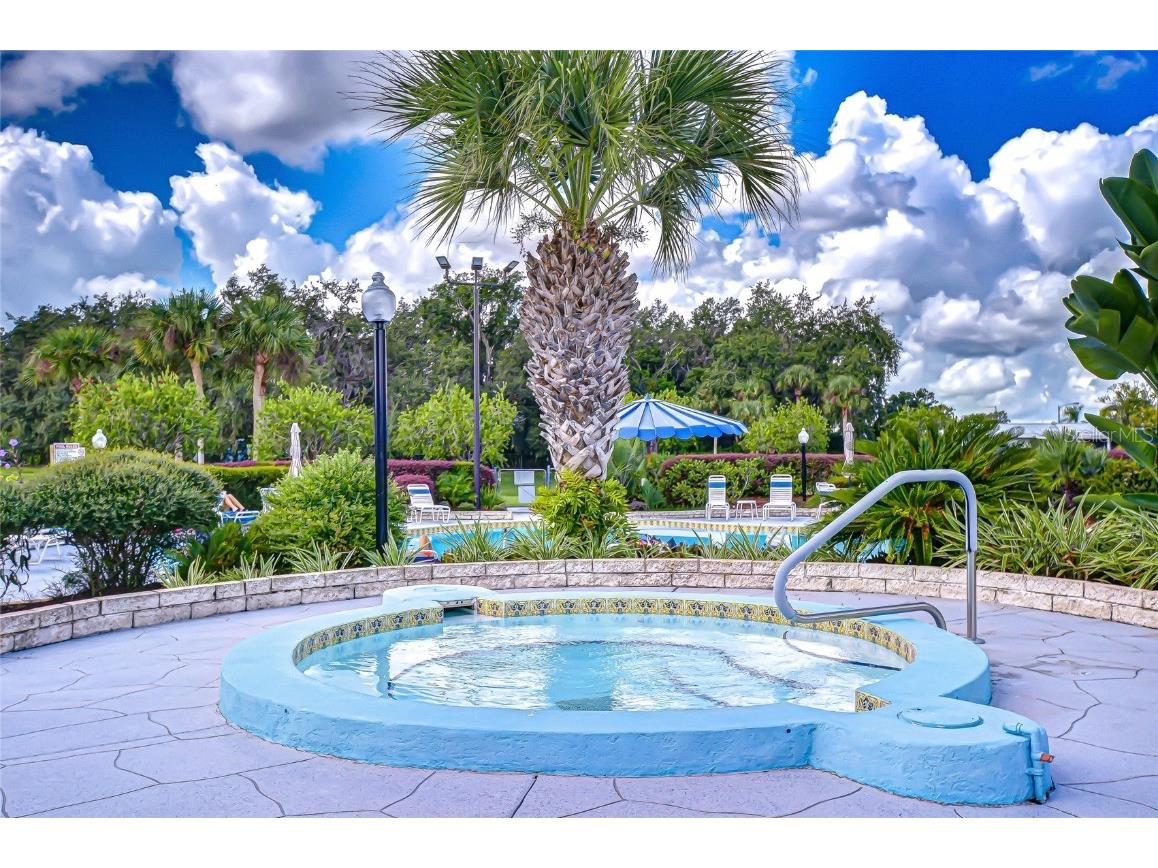 3904 William Hume Drive Zephyrhills FL 33541 TB8455513 image30