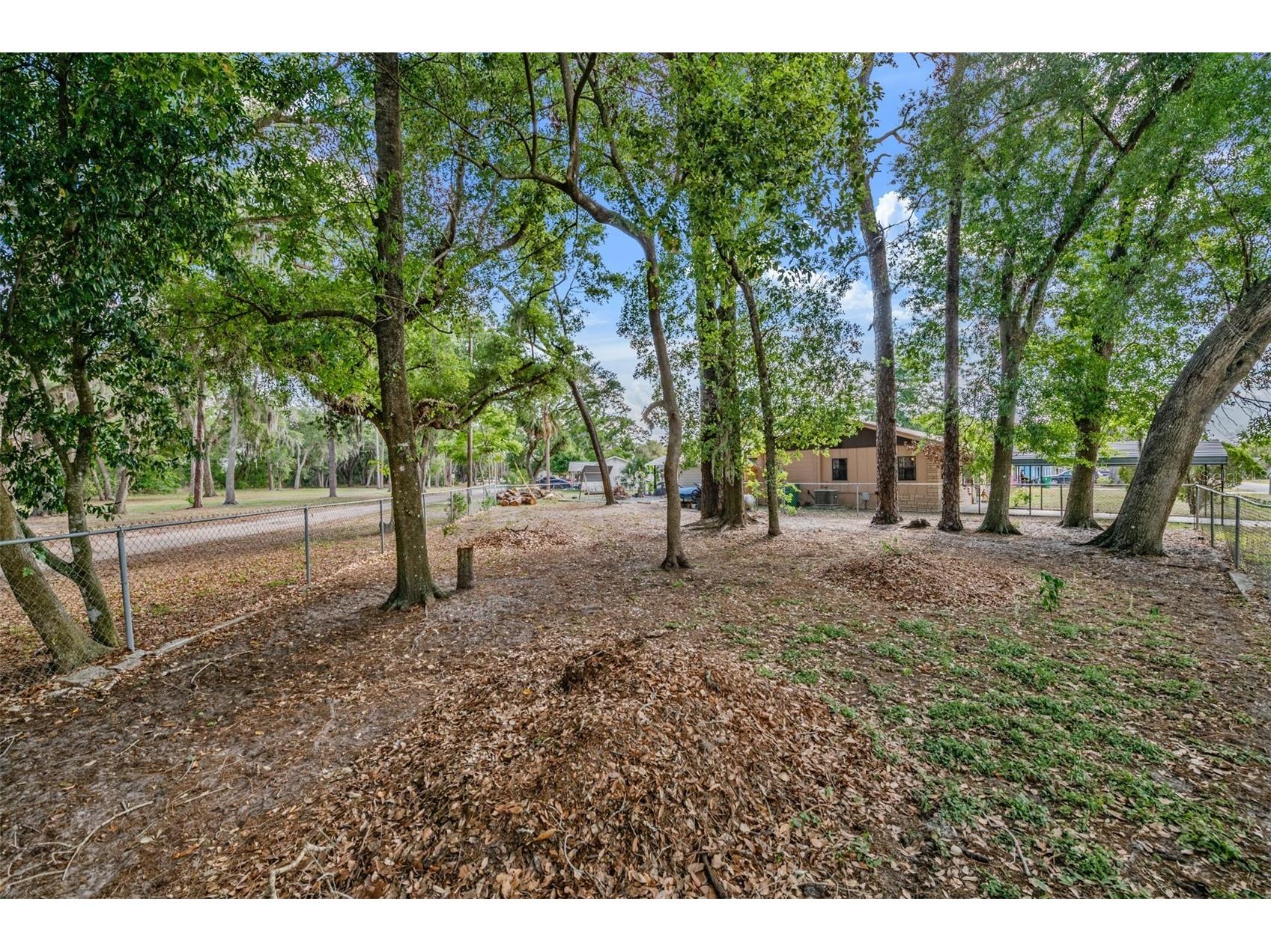 39048 Blue Jay Avenue Zephyrhills FL 33542 TB8501656 image10