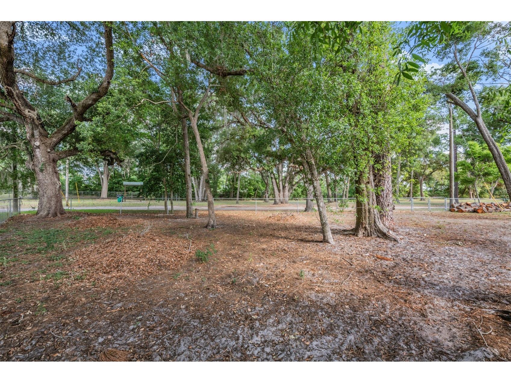 39048 Blue Jay Avenue Zephyrhills FL 33542 TB8501656 image20
