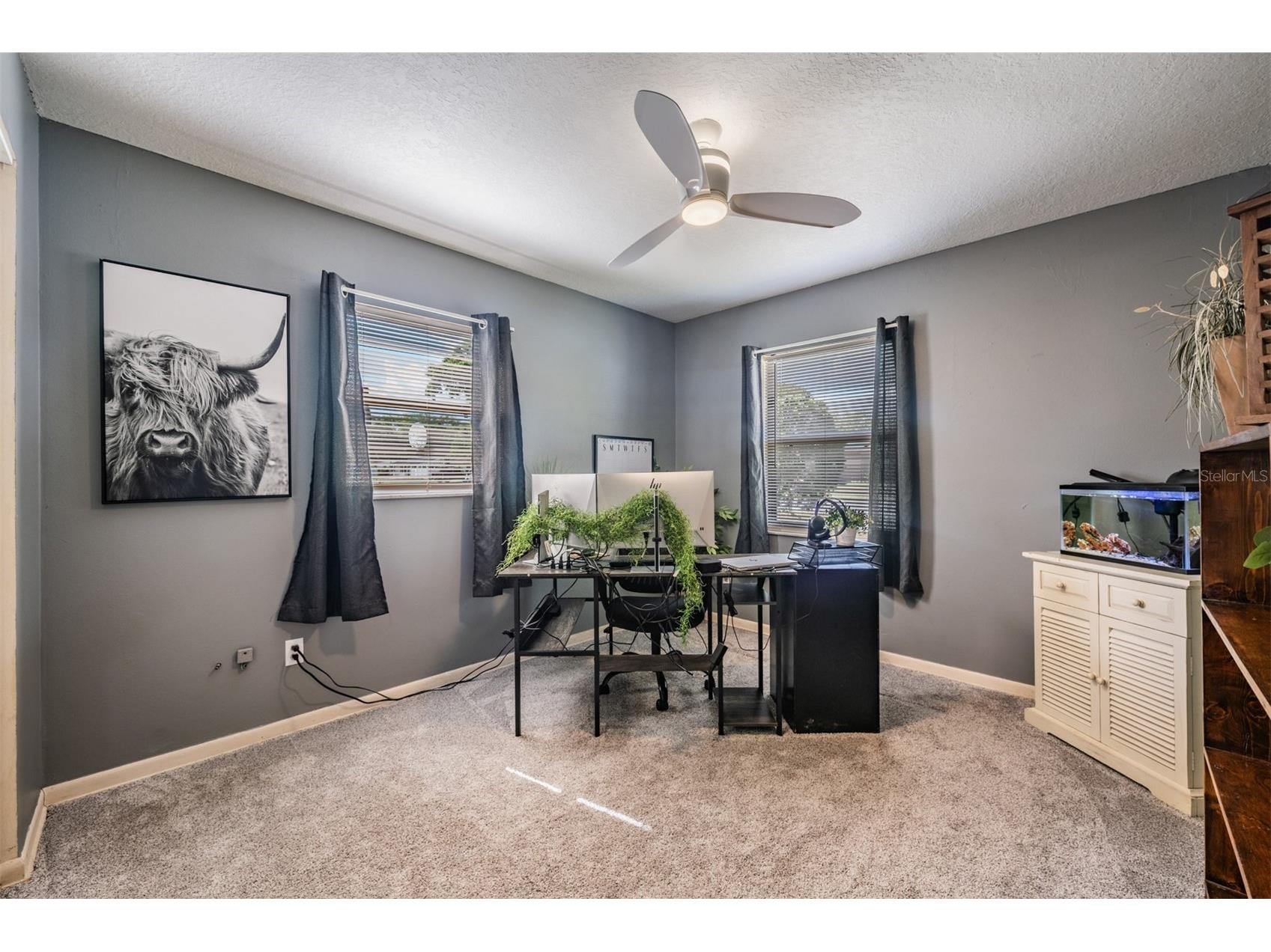 39048 Blue Jay Avenue Zephyrhills FL 33542 TB8501656 image23
