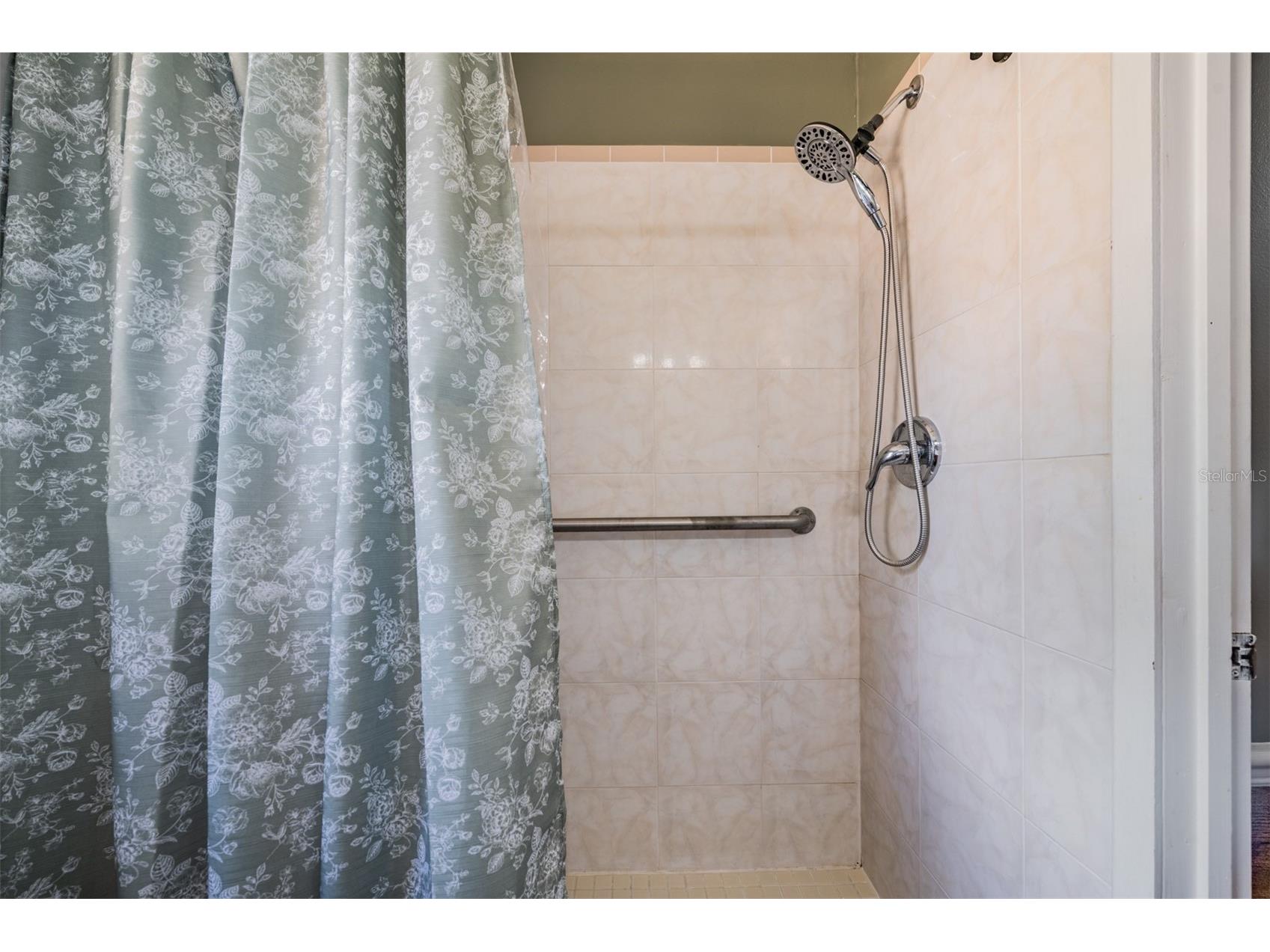 39048 Blue Jay Avenue Zephyrhills FL 33542 TB8501656 image33