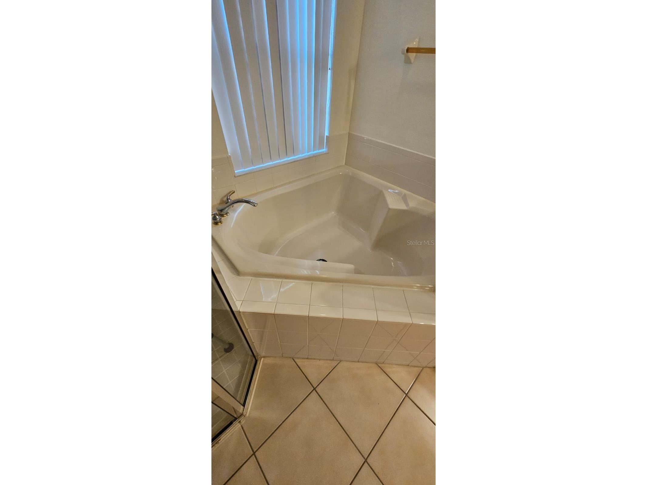 3905 Bowfin Trail Kissimmee FL 34746 S5139461 image13