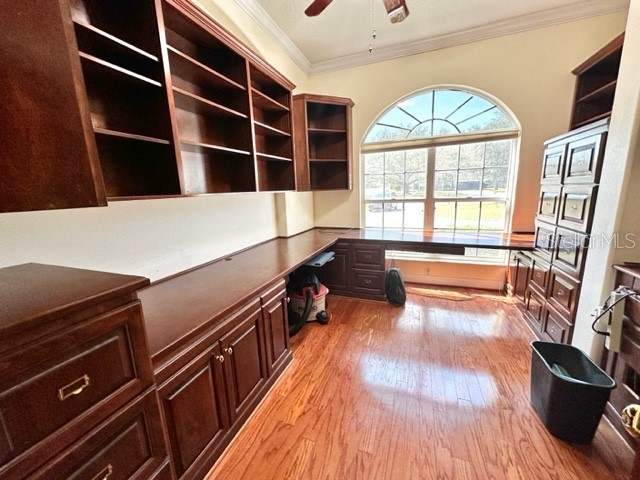 3905 Dumfries Court Apopka FL 32712 O6364324 image16