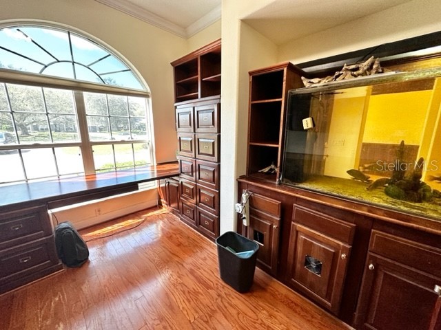 3905 Dumfries Court Apopka FL 32712 O6364324 image17