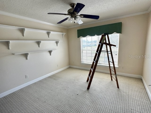 3905 Dumfries Court Apopka FL 32712 O6364324 image25