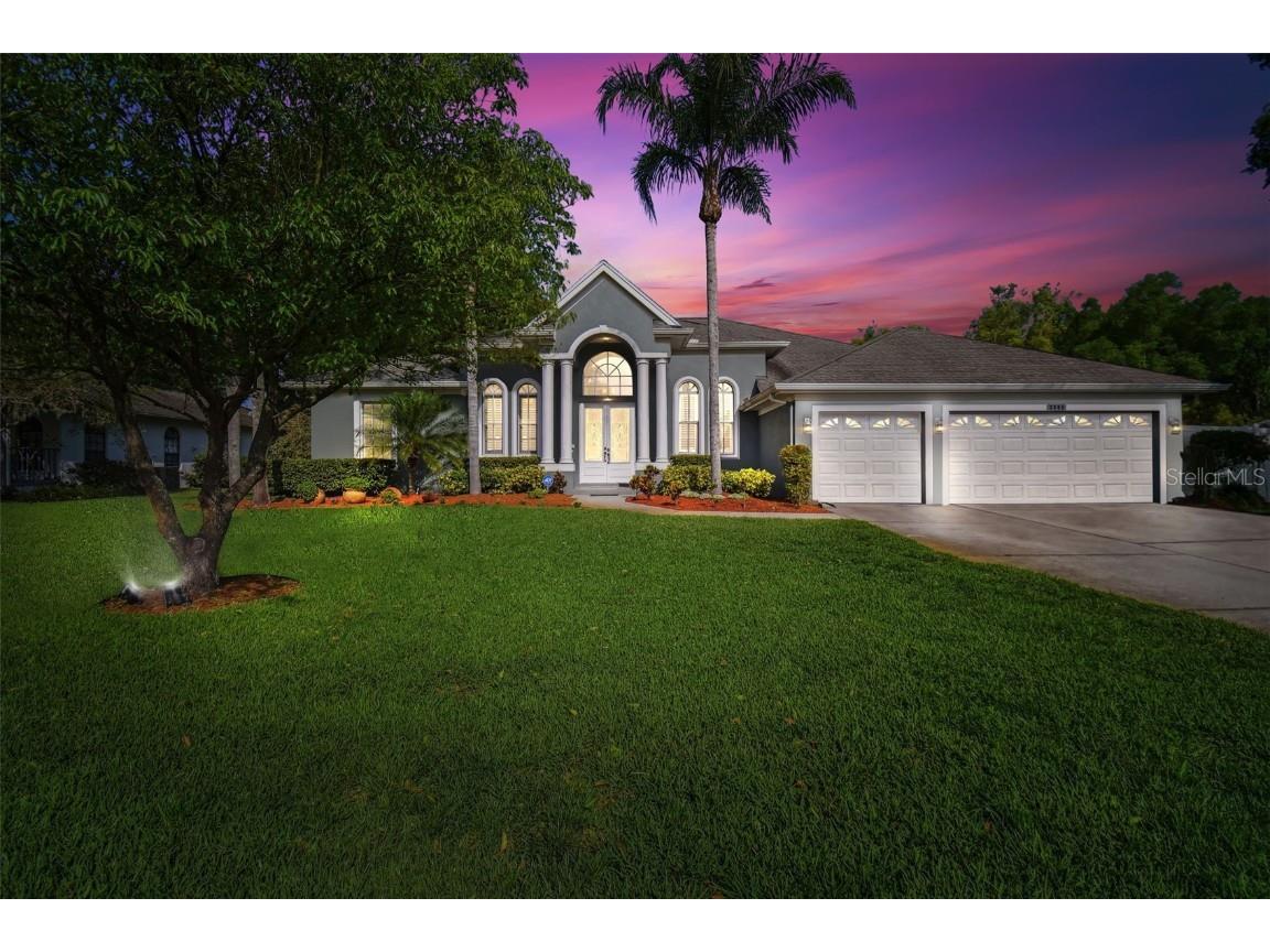 3905 Lake Joyce Drive Land O Lakes FL 34639 U8194609 image1