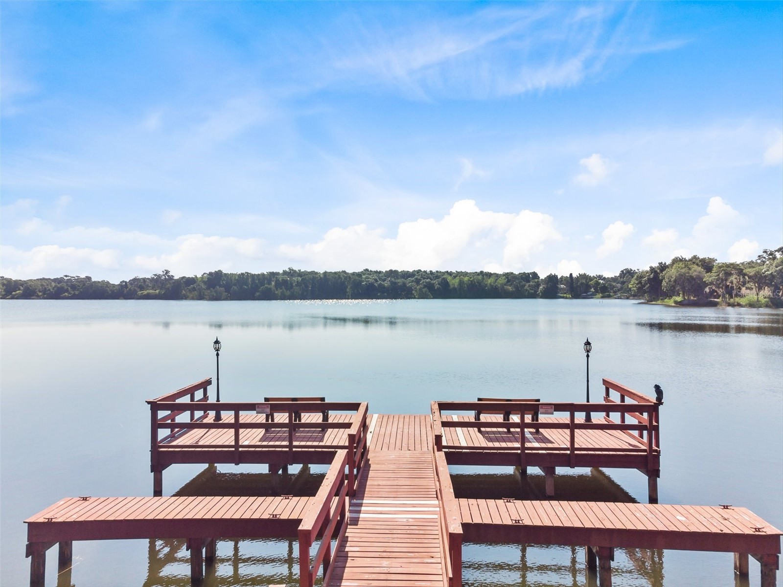 3905 Osprey Pointe Circle Winter Haven FL 33884 - LAKE NED P4938216 image50
