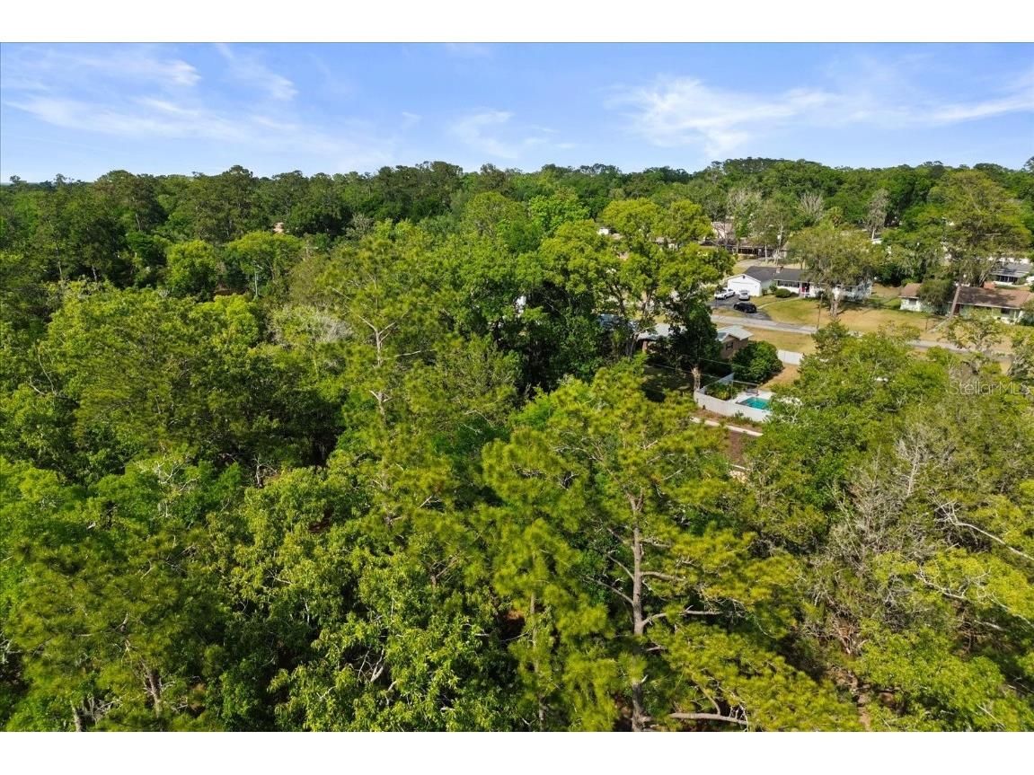 3905 Se 7th St Ocala FL 34471 O6361539 image44
