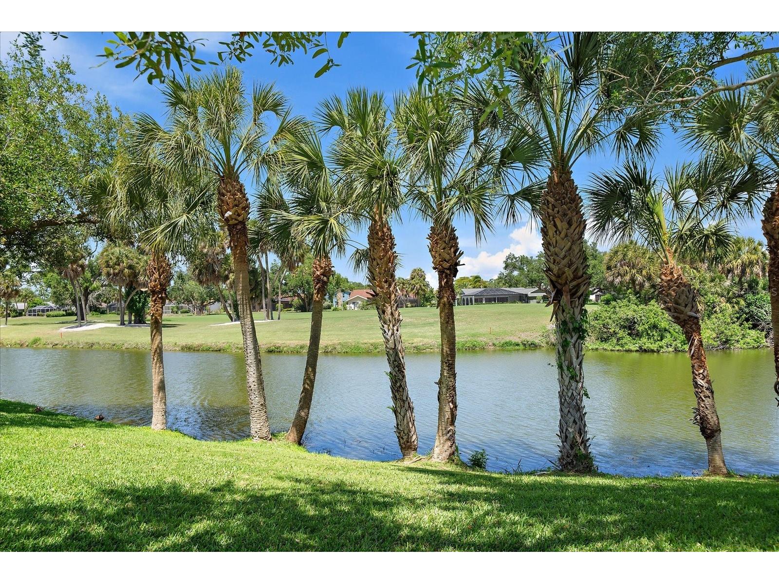 3905 Spyglass Hill Road Sarasota FL 34238 A4688836 image39