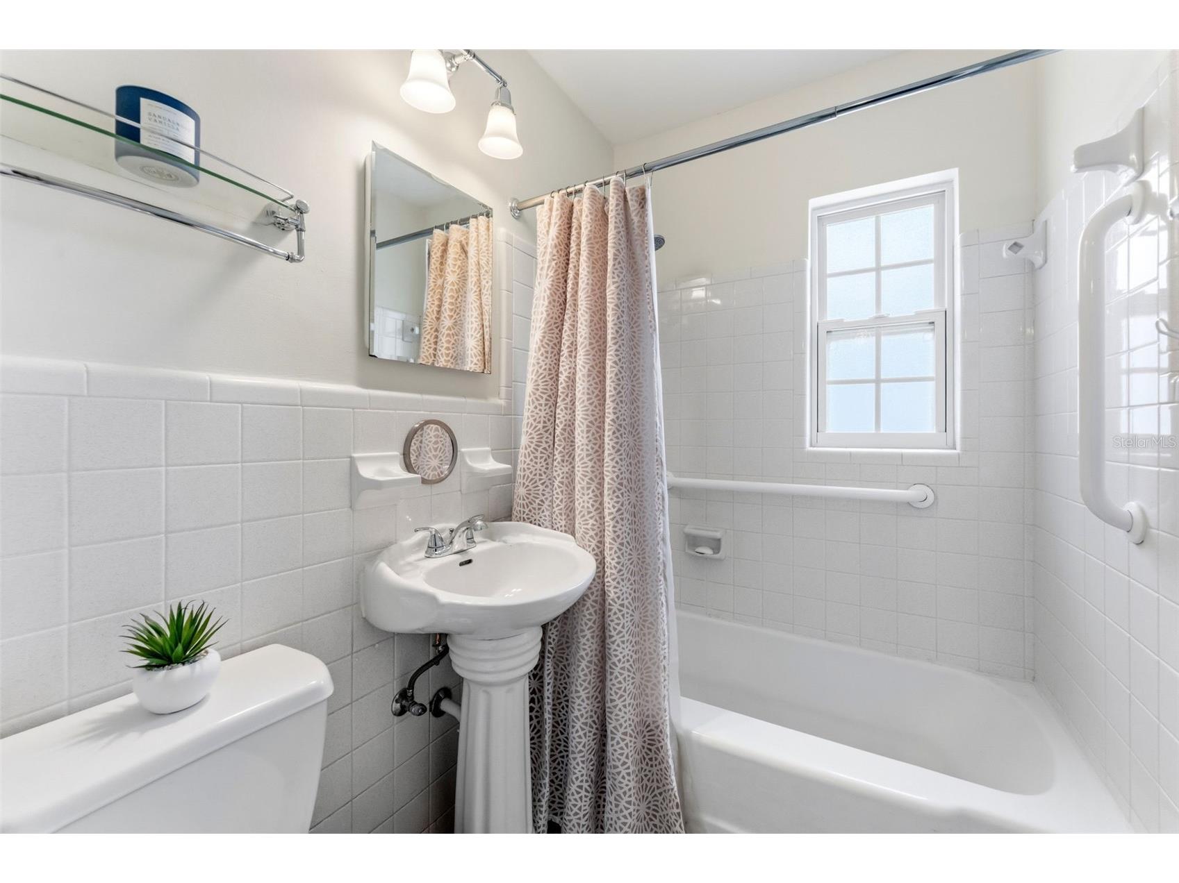 3905 W Pearl Avenue Tampa FL 33611 TB8525191 image15