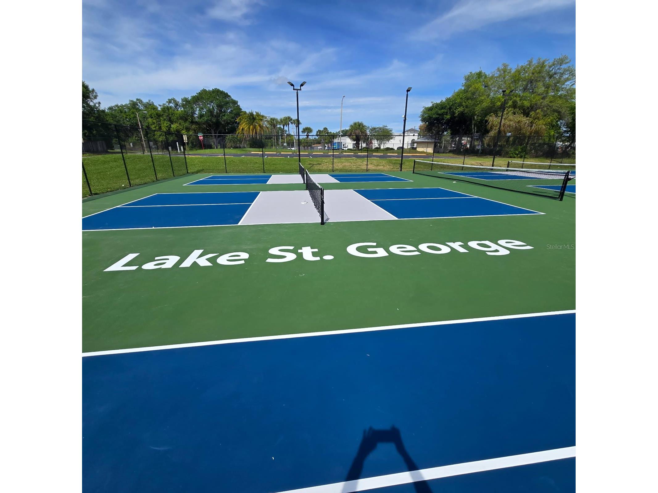 3906 Blooming Hill Lane Palm Harbor FL 34684 A4692985 image38