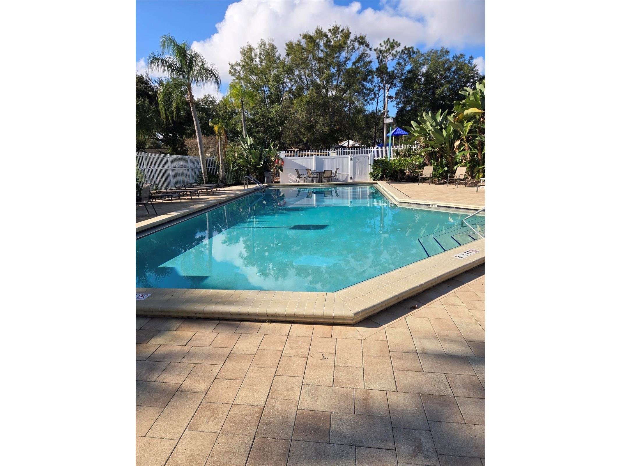 3906 Blooming Hill Lane Palm Harbor FL 34684 A4692985 image39