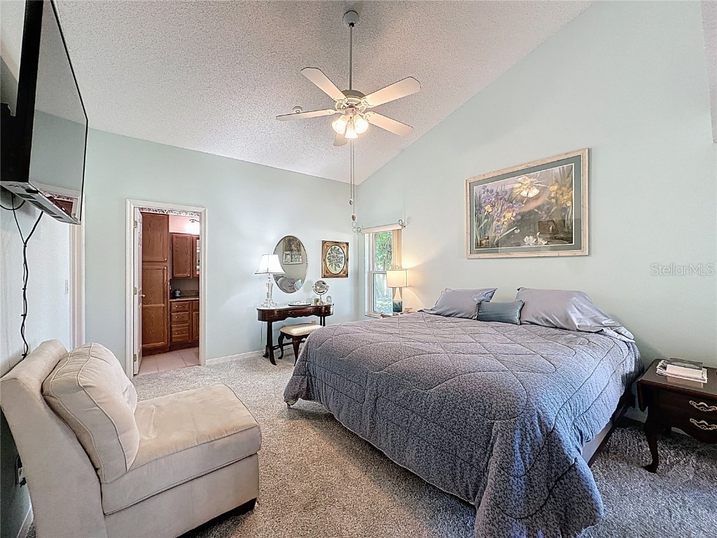 3906 Doune Way Clermont FL 34711 G5104100 image30