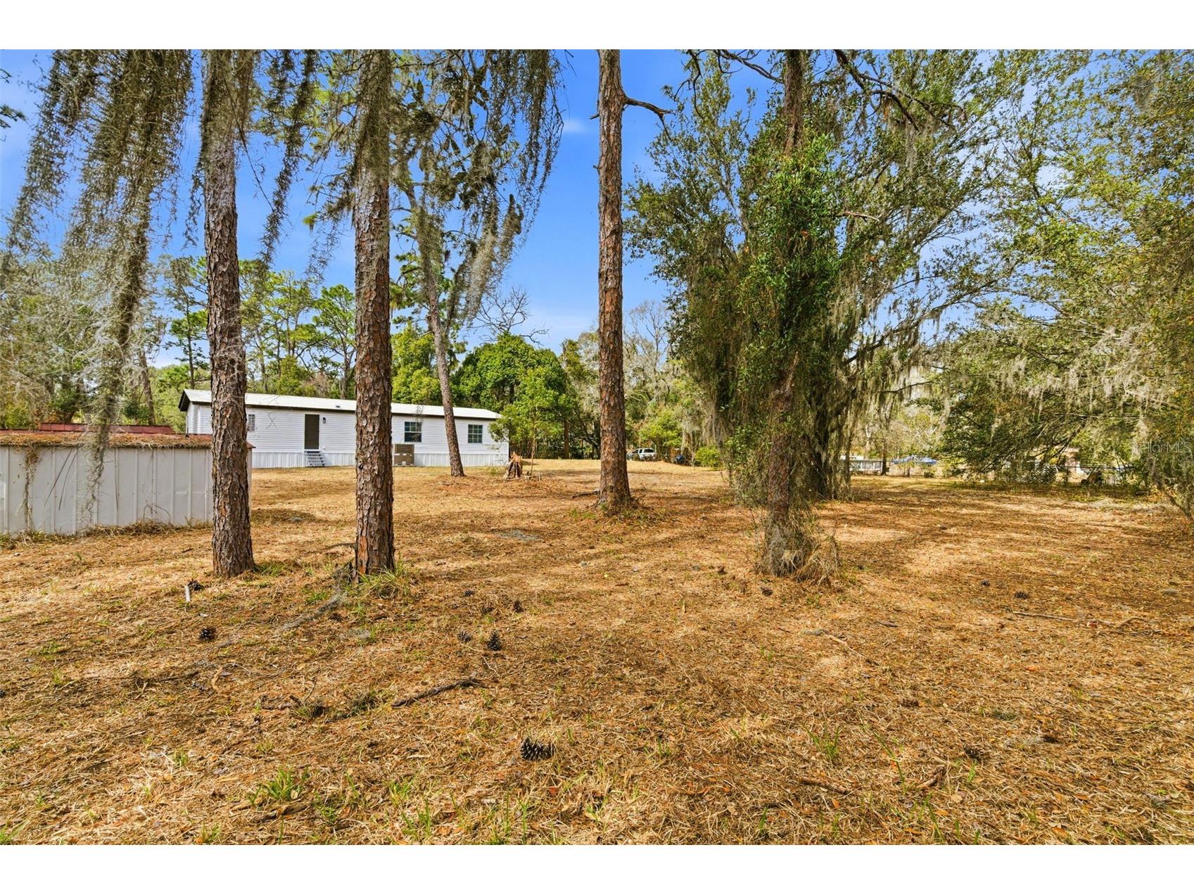 3906 Fox Ridge Boulevard Wesley Chapel FL 33543 TB8476809 image4