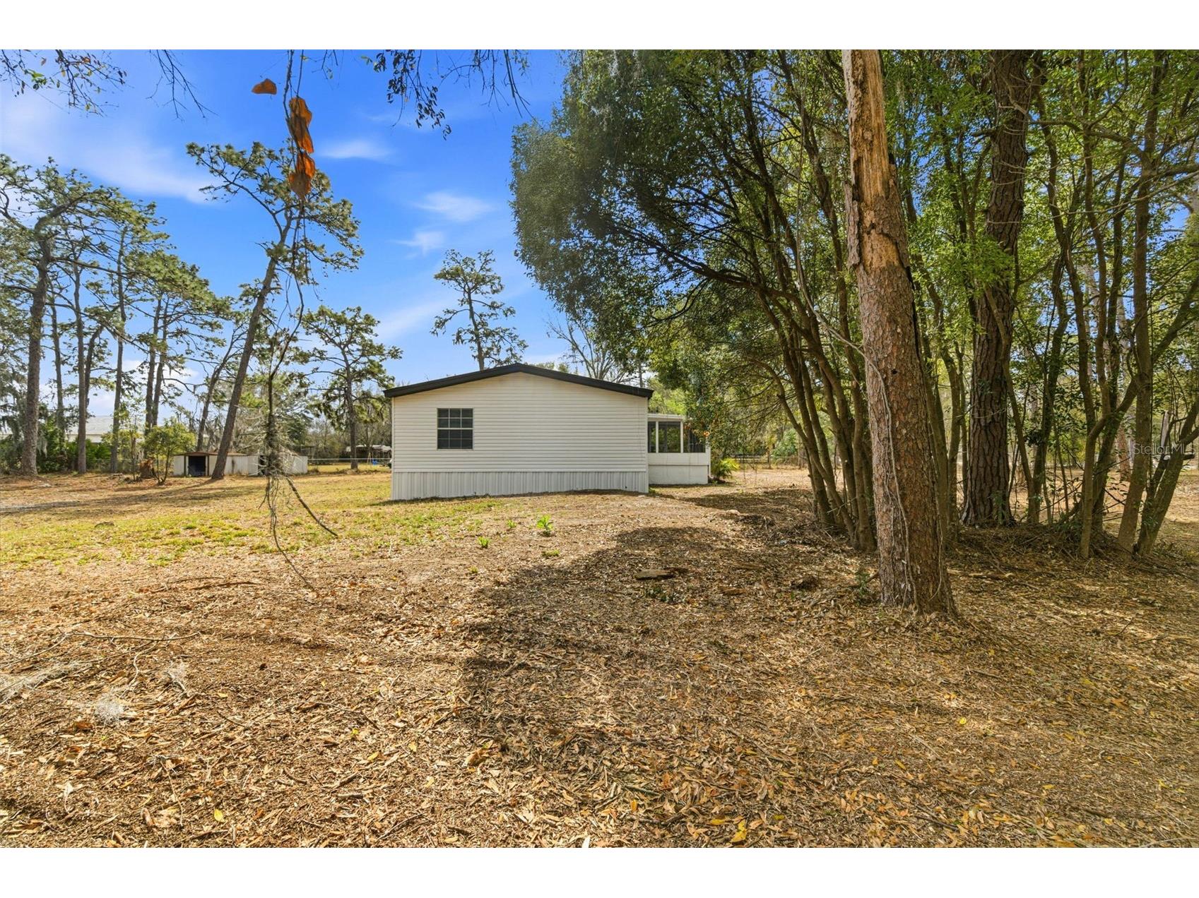3906 Fox Ridge Boulevard Wesley Chapel FL 33543 TB8476809 image43