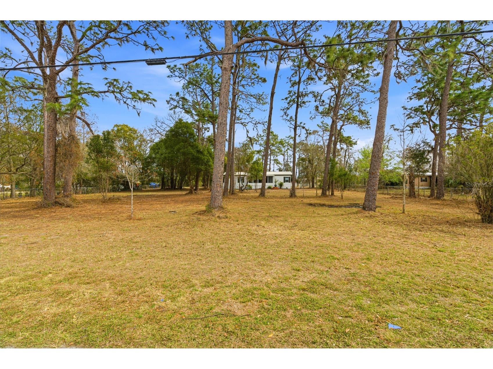 3906 Fox Ridge Boulevard Wesley Chapel FL 33543 TB8476809 image44