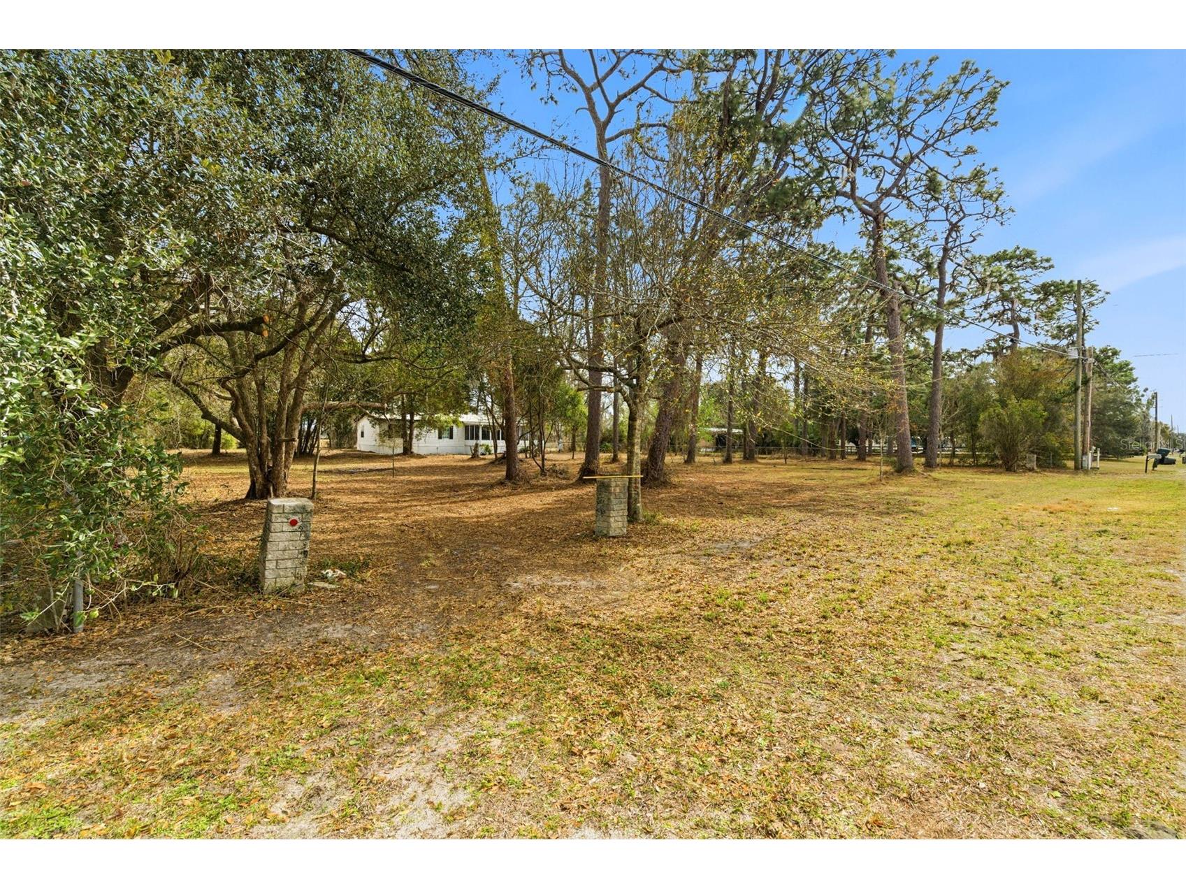 3906 Fox Ridge Boulevard Wesley Chapel FL 33543 TB8476809 image46