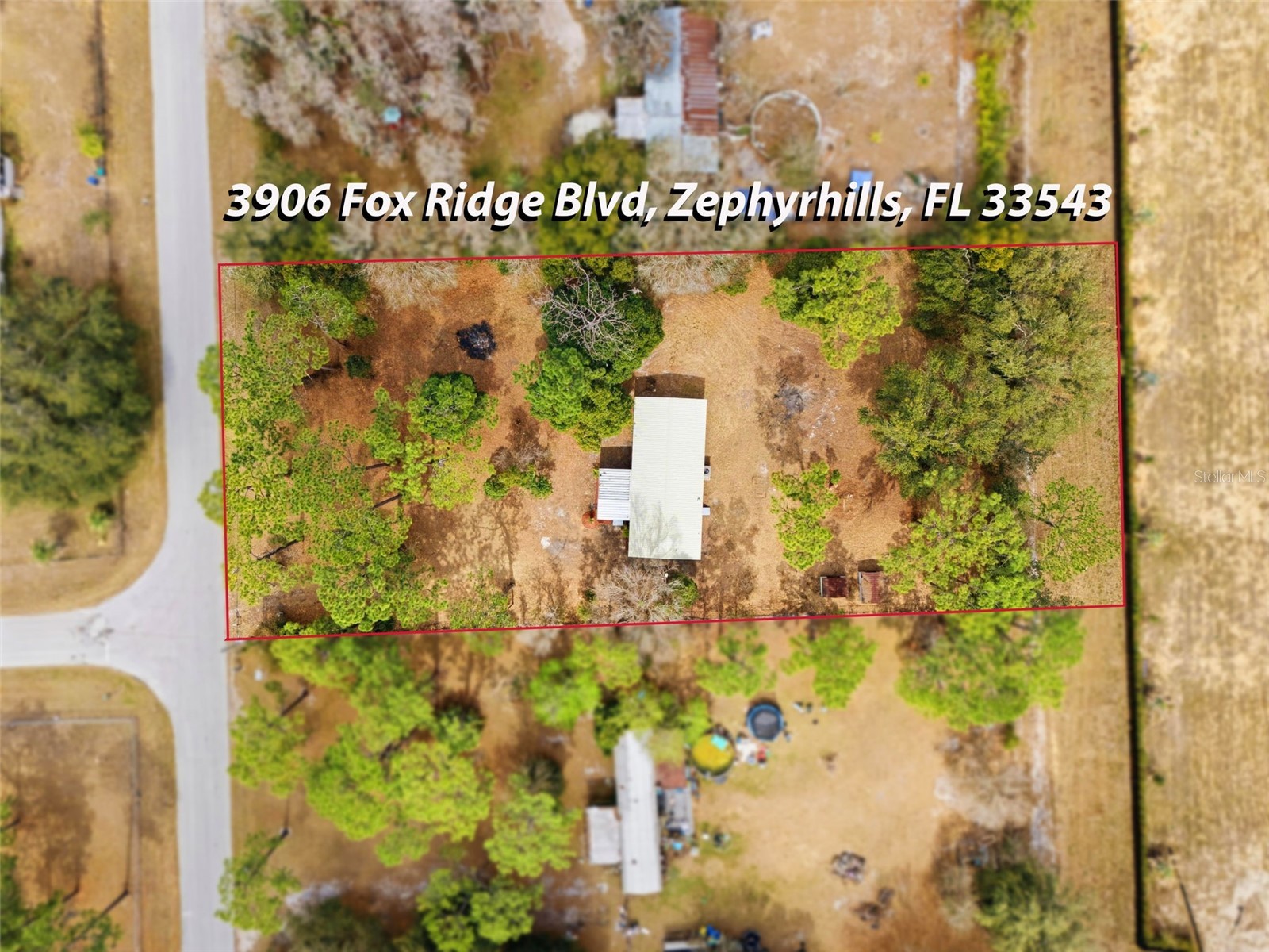 3906 Fox Ridge Boulevard Wesley Chapel FL 33543 TB8476809 image48