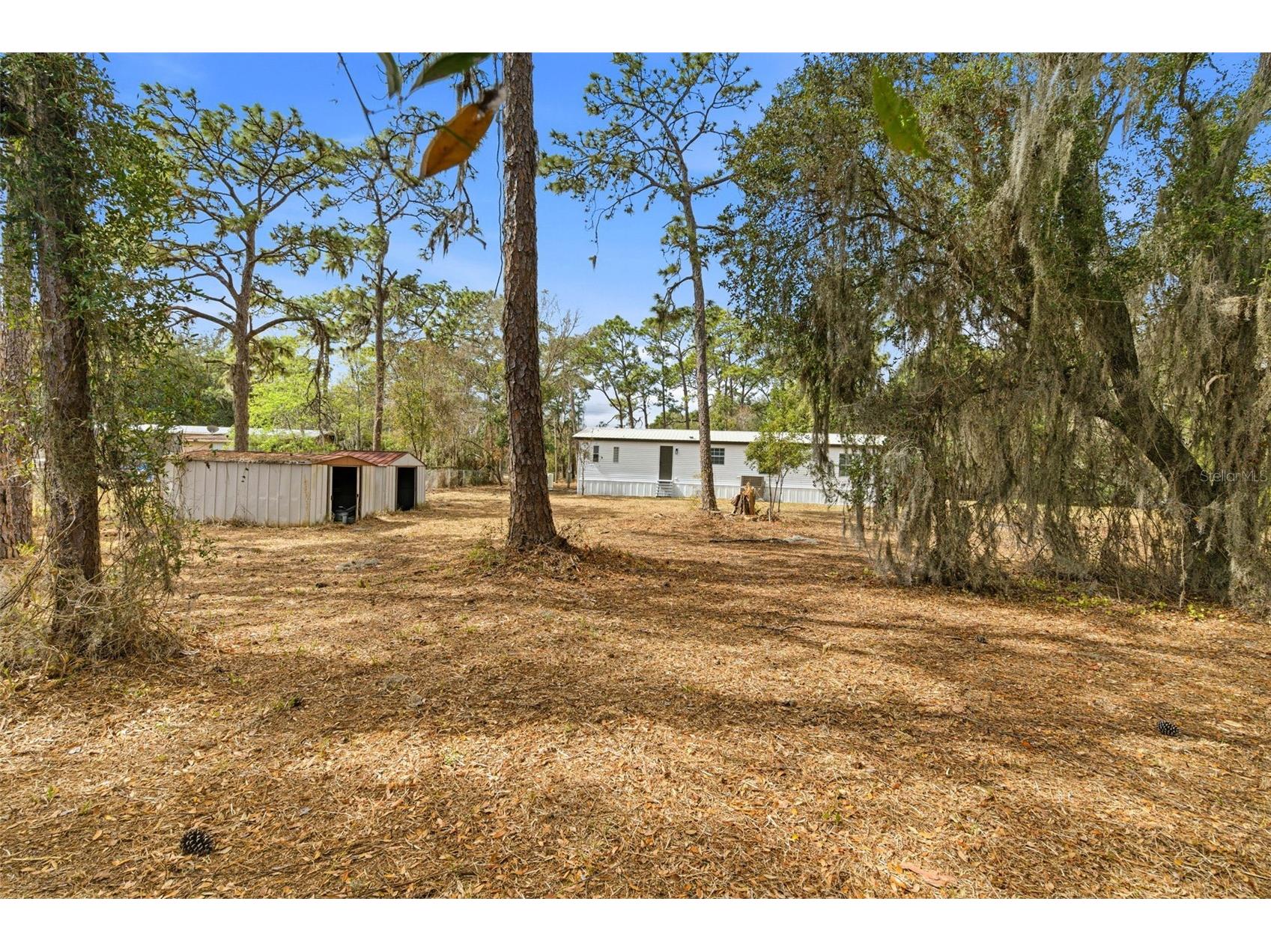 3906 Fox Ridge Boulevard Wesley Chapel FL 33543 TB8476809 image5