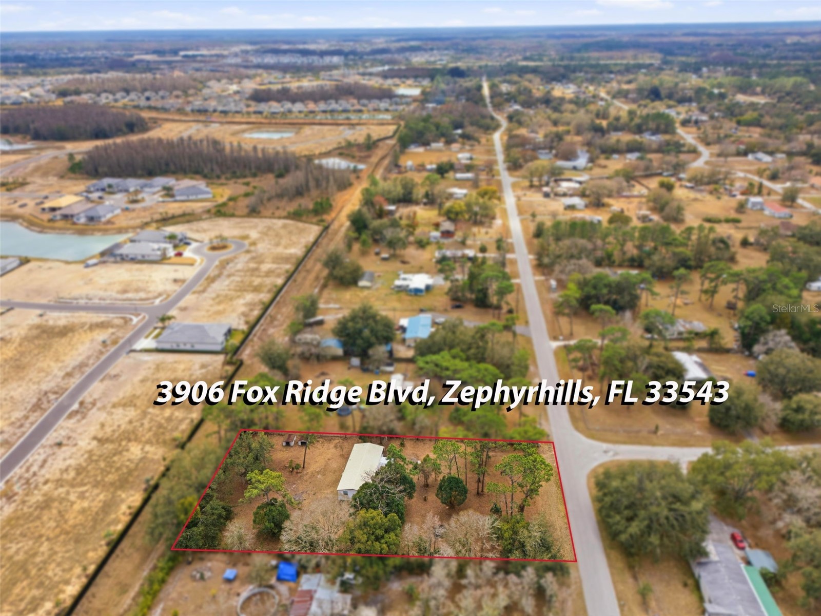 3906 Fox Ridge Boulevard Wesley Chapel FL 33543 TB8476809 image51