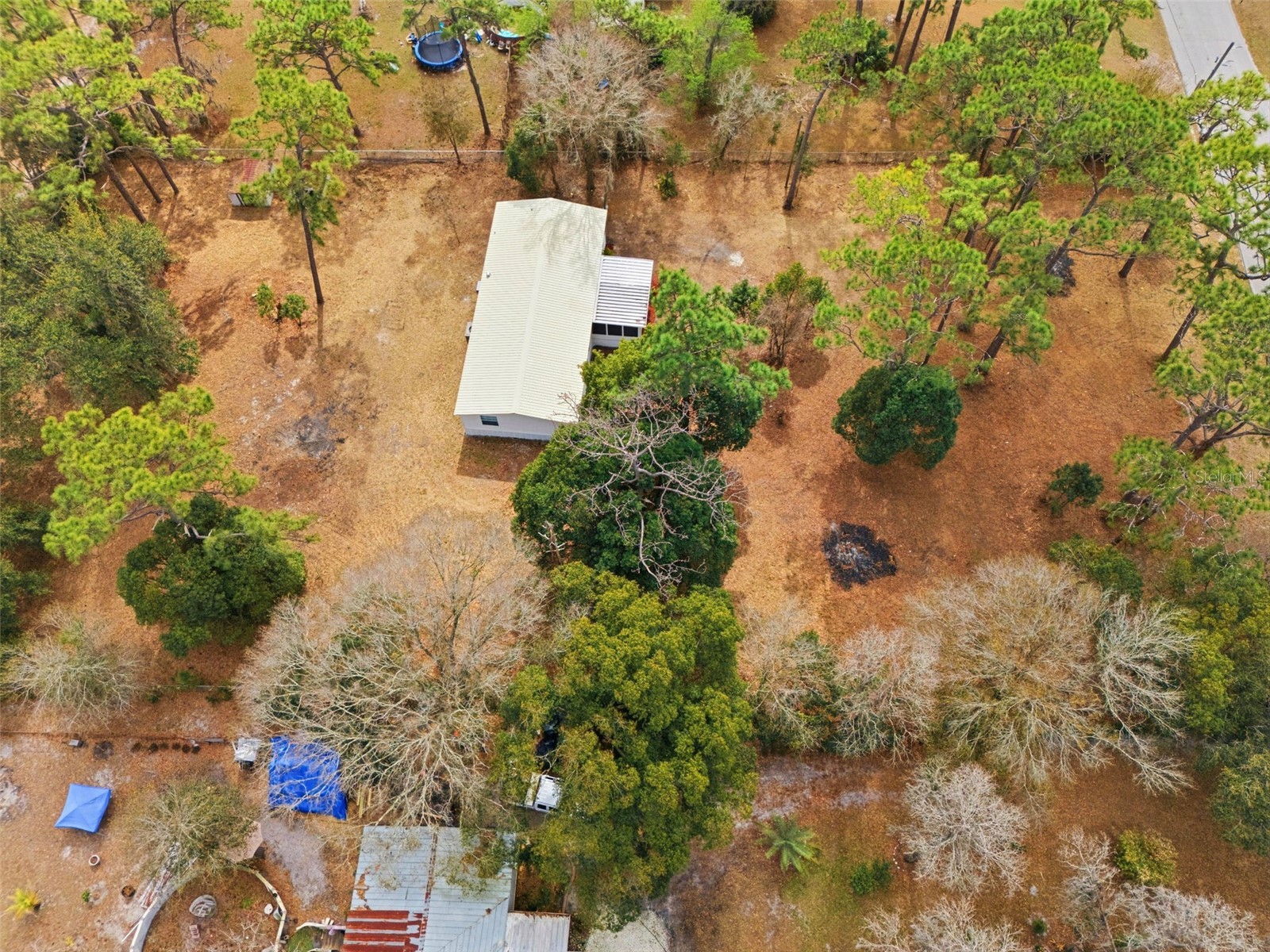 3906 Fox Ridge Boulevard Wesley Chapel FL 33543 TB8476809 image53