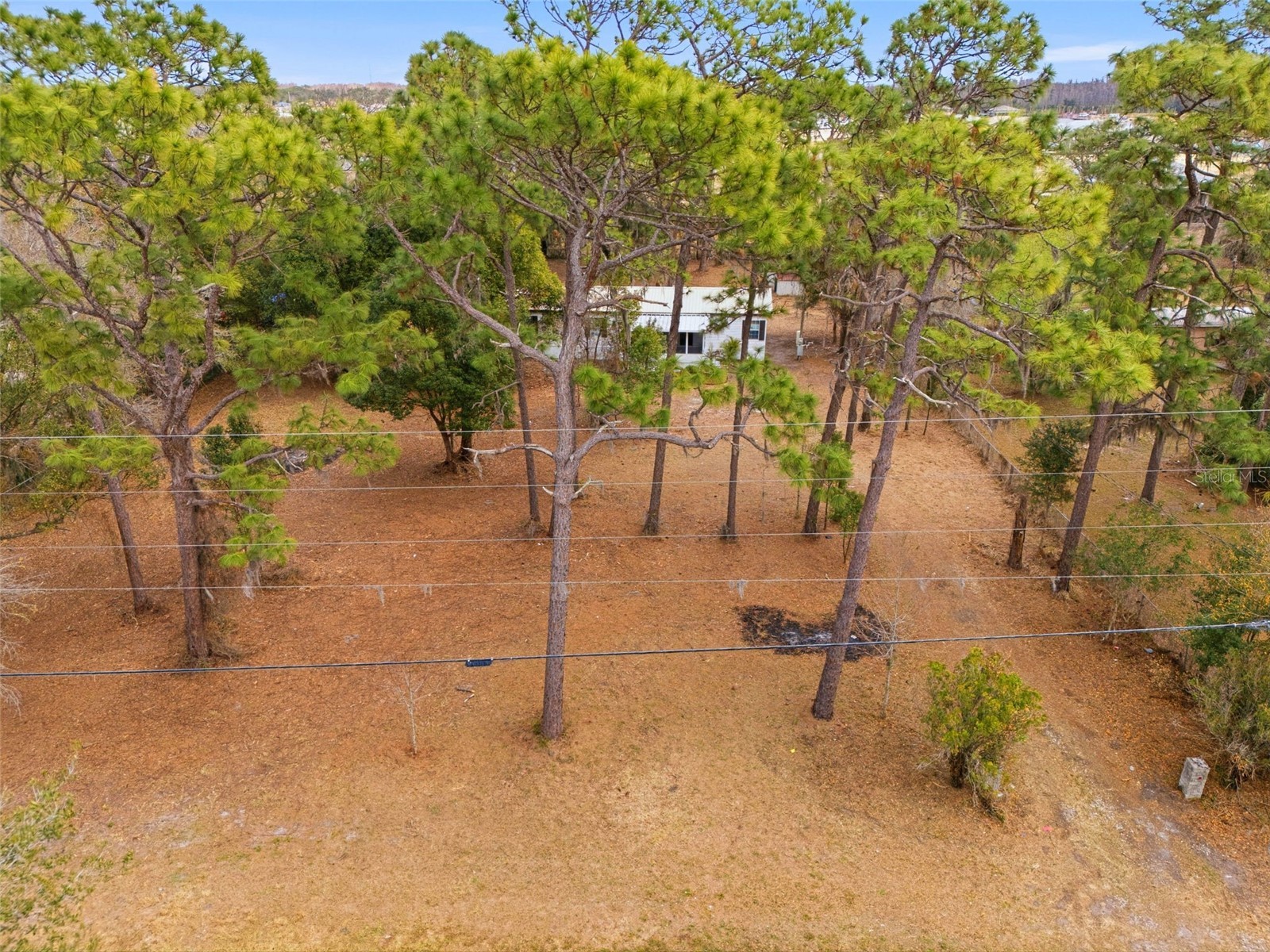 3906 Fox Ridge Boulevard Wesley Chapel FL 33543 TB8476809 image54