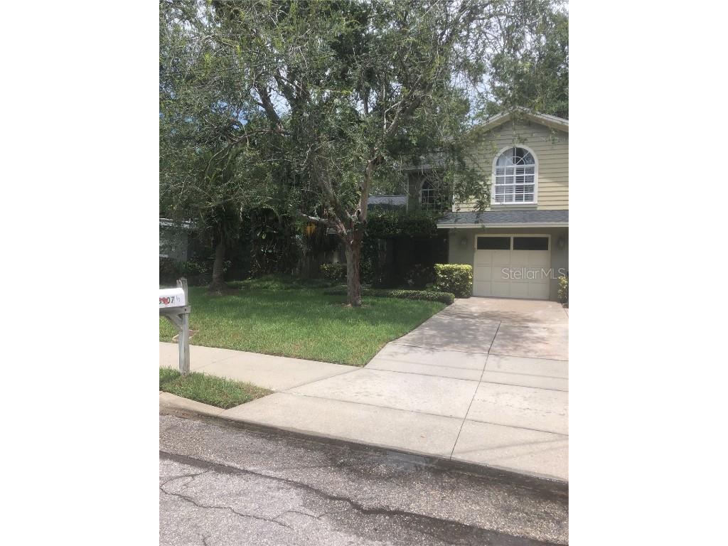 3907 1/2 W Corona Street Tampa FL 33629 U8209055 image1