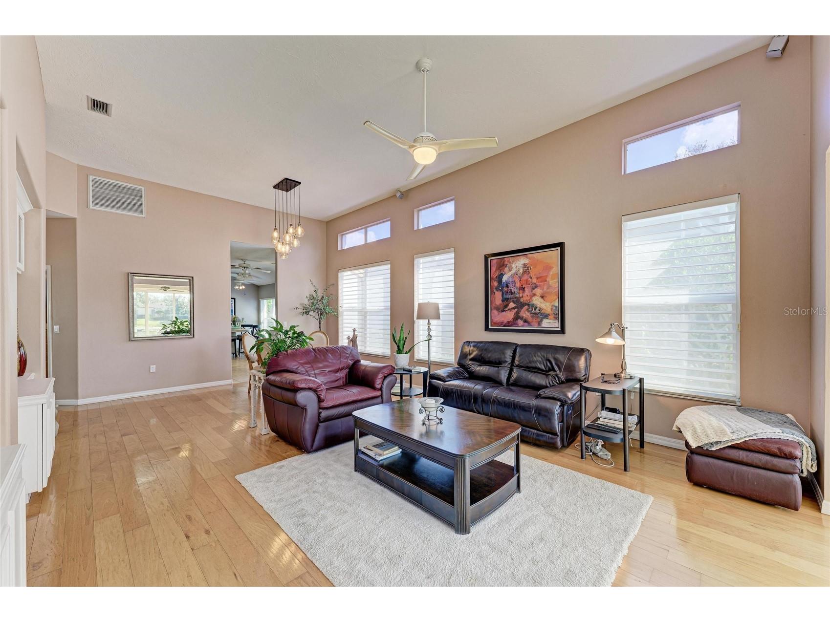 3907 Alamanda Drive Sarasota FL 34238 N6142651 image21