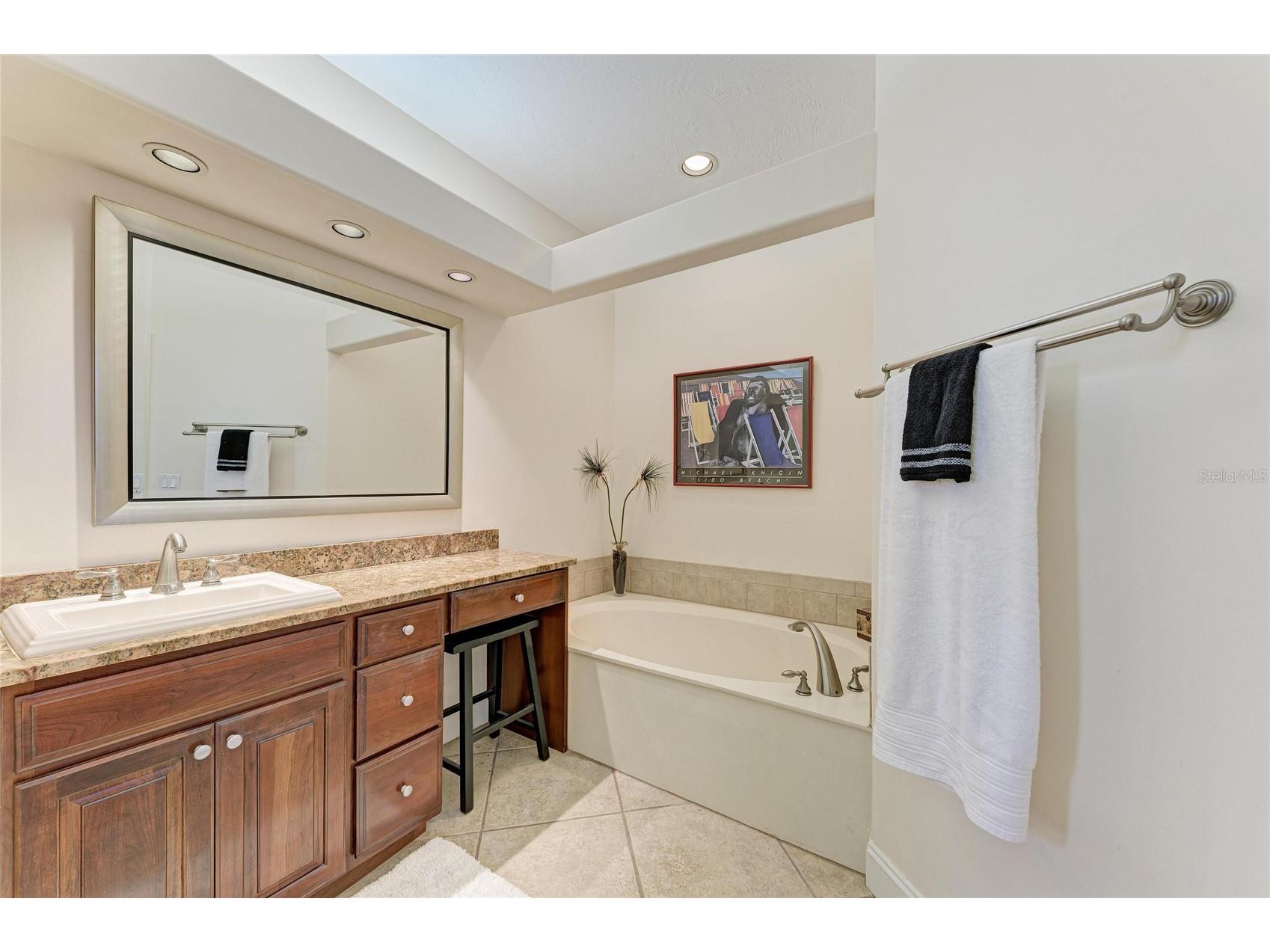 3907 Alamanda Drive Sarasota FL 34238 N6142651 image28