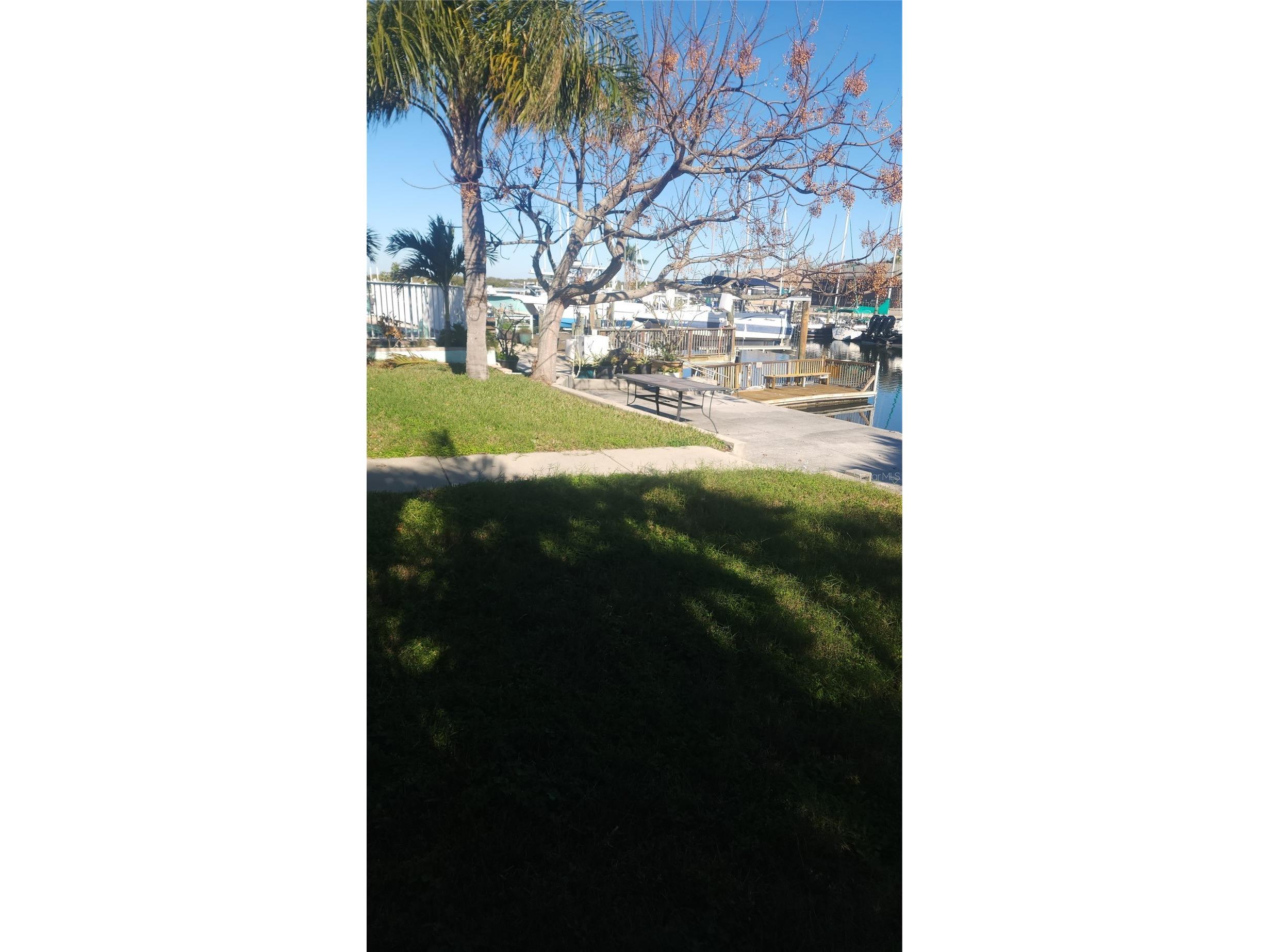 3907 Floramar Terrace New Port Richey FL 34652 TB8481093 image5
