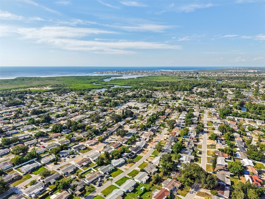 3907 Luma Drive Holiday FL 34691 TB8428032 image21