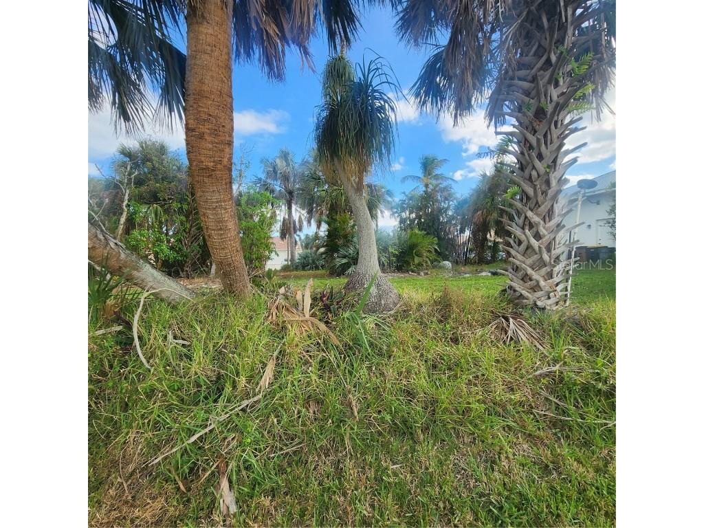 3907 Madrid Court Punta Gorda FL 33950 C7518064 image8