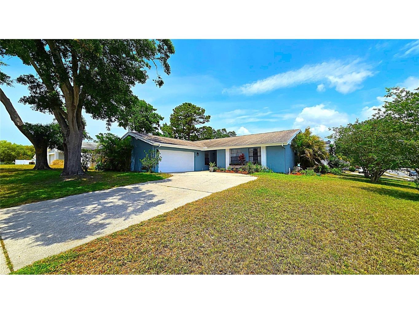3907 Orchard Hill Circle Palm Harbor FL 34684 TB8383576 image1