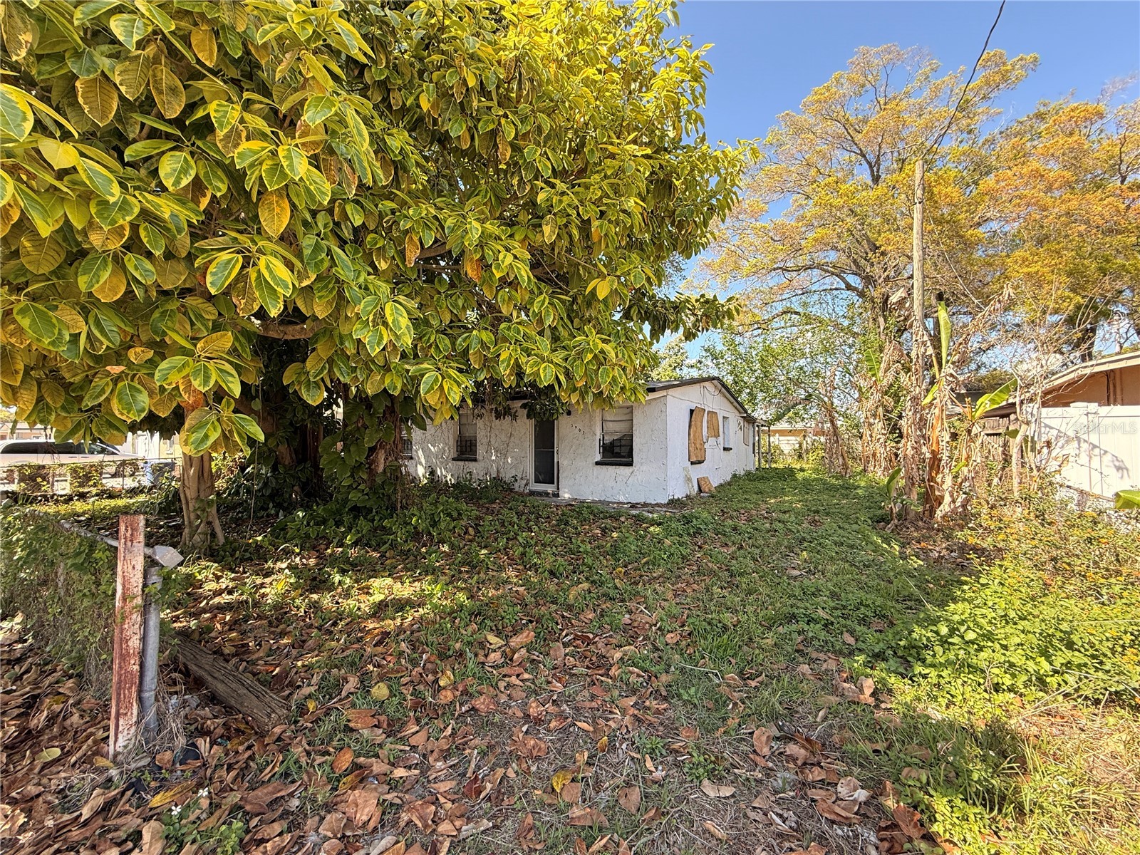 3907 Spence Avenue Tampa FL 33614 TB8485886 image2