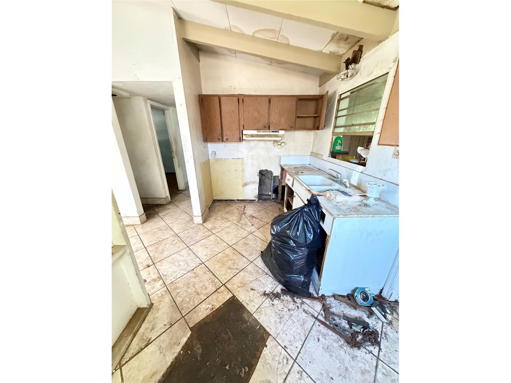 3907 Spence Avenue Tampa FL 33614 TB8485886 image5