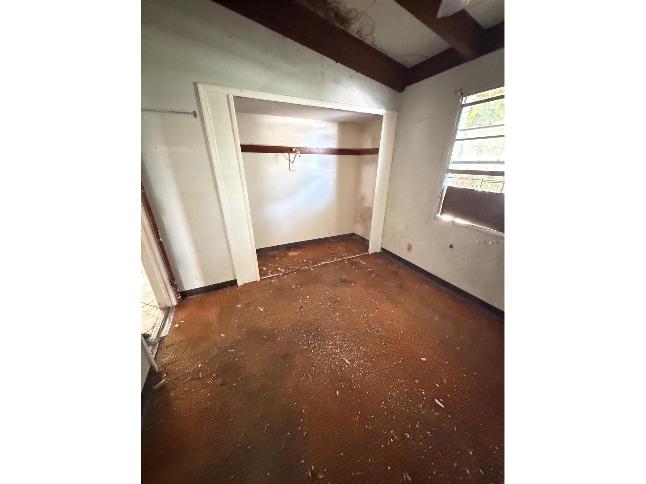 3907 Spence Avenue Tampa FL 33614 TB8485886 image7