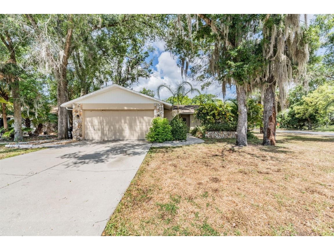 3907 Thornbush Lane New Port Richey FL 34655 T3531118 image1