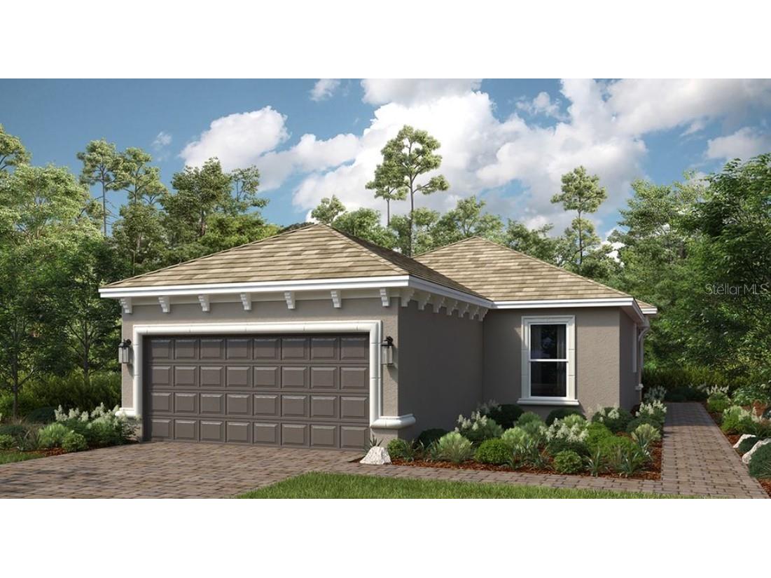 3908 Cavour Court Wesley Chapel FL 33543 TB8404845 image1