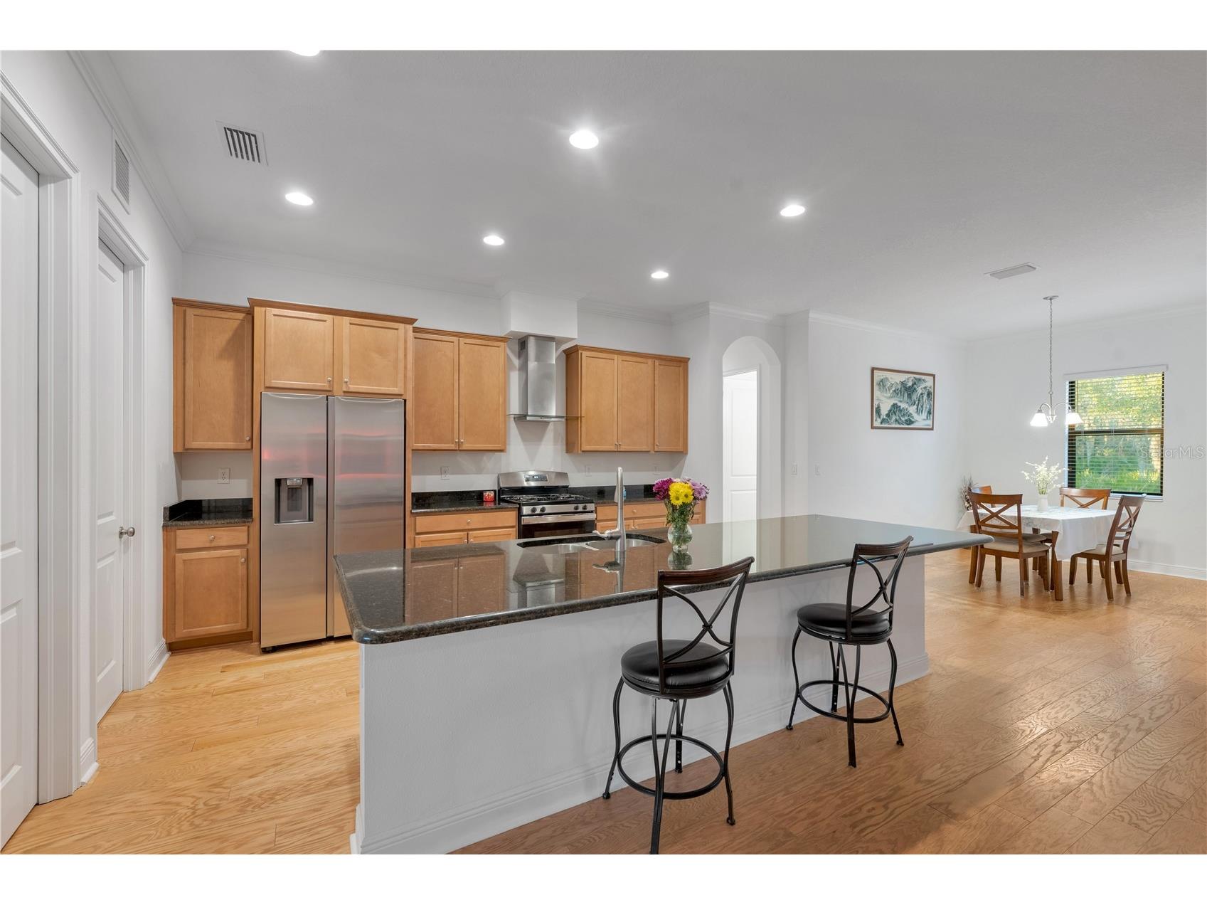 3908 Gaviota Drive Sun City Center FL 33573 TB8469302 image10