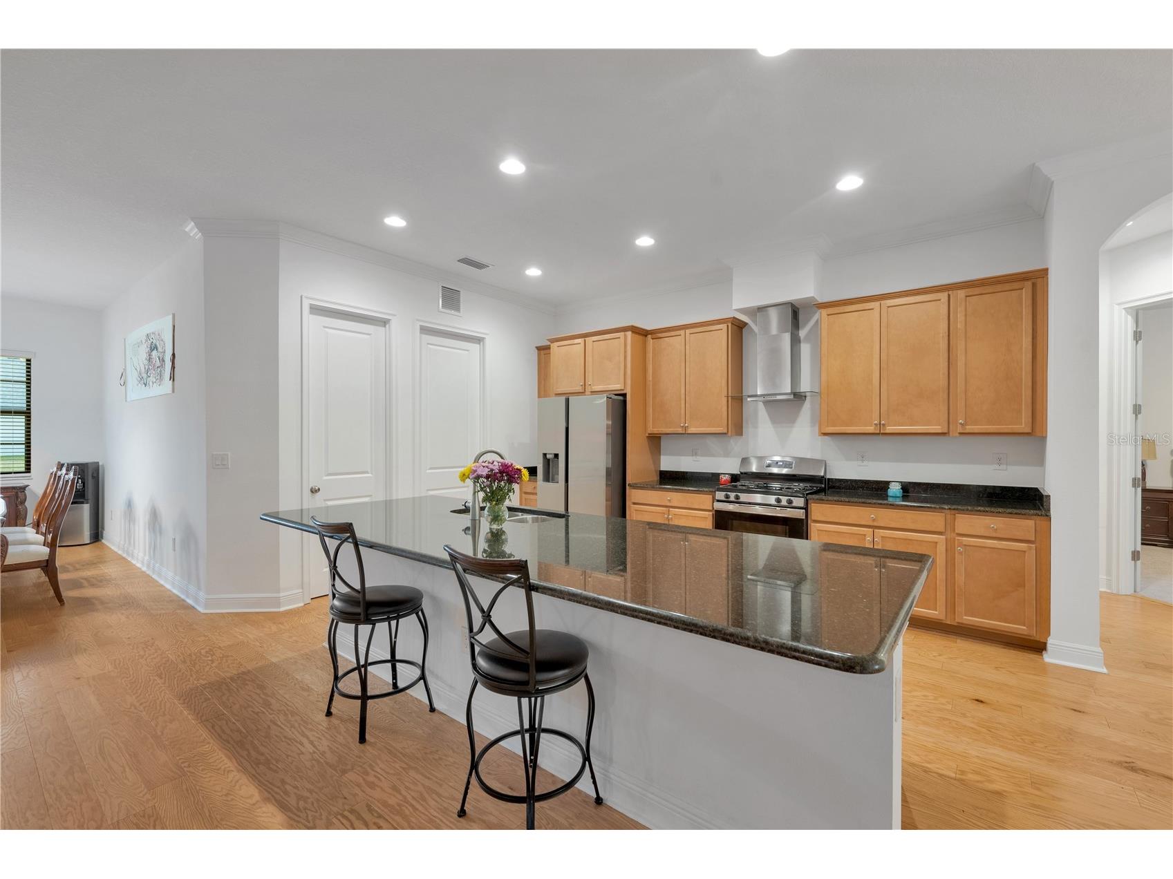 3908 Gaviota Drive Sun City Center FL 33573 TB8469302 image11