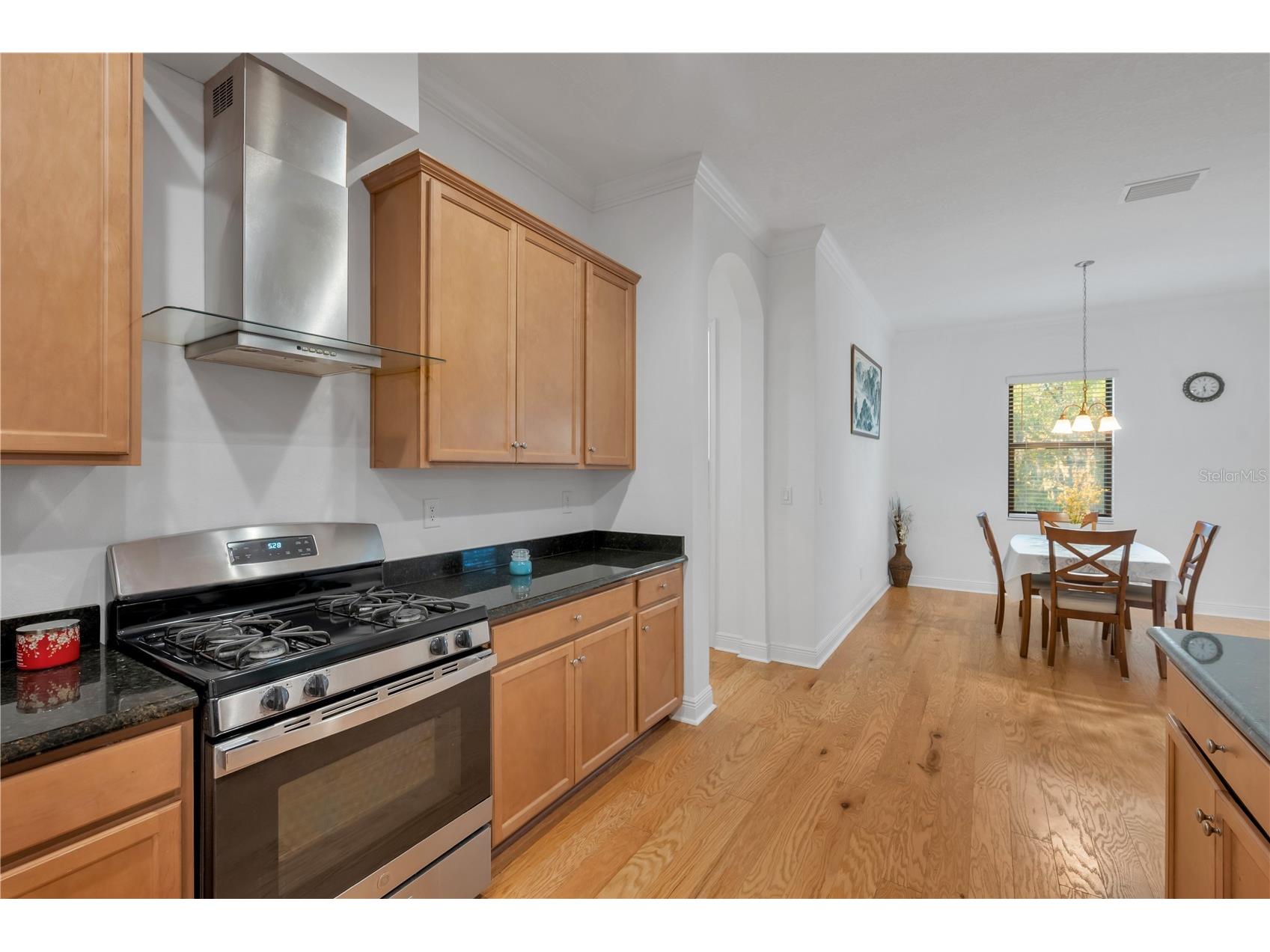 3908 Gaviota Drive Sun City Center FL 33573 TB8469302 image14