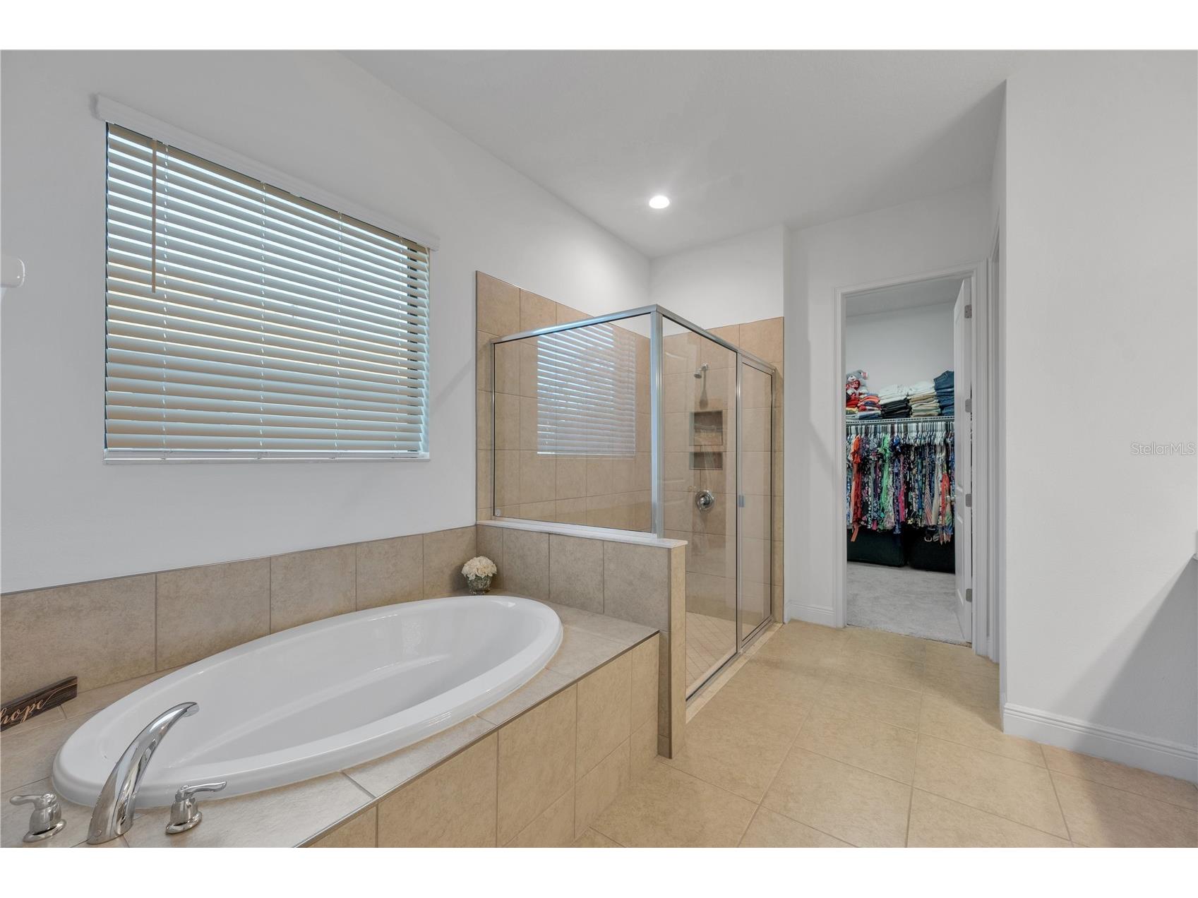 3908 Gaviota Drive Sun City Center FL 33573 TB8469302 image19