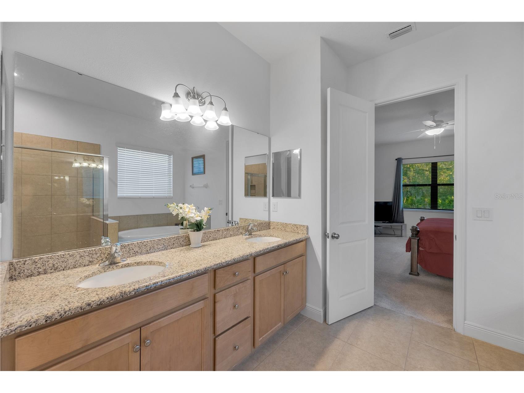 3908 Gaviota Drive Sun City Center FL 33573 TB8469302 image20