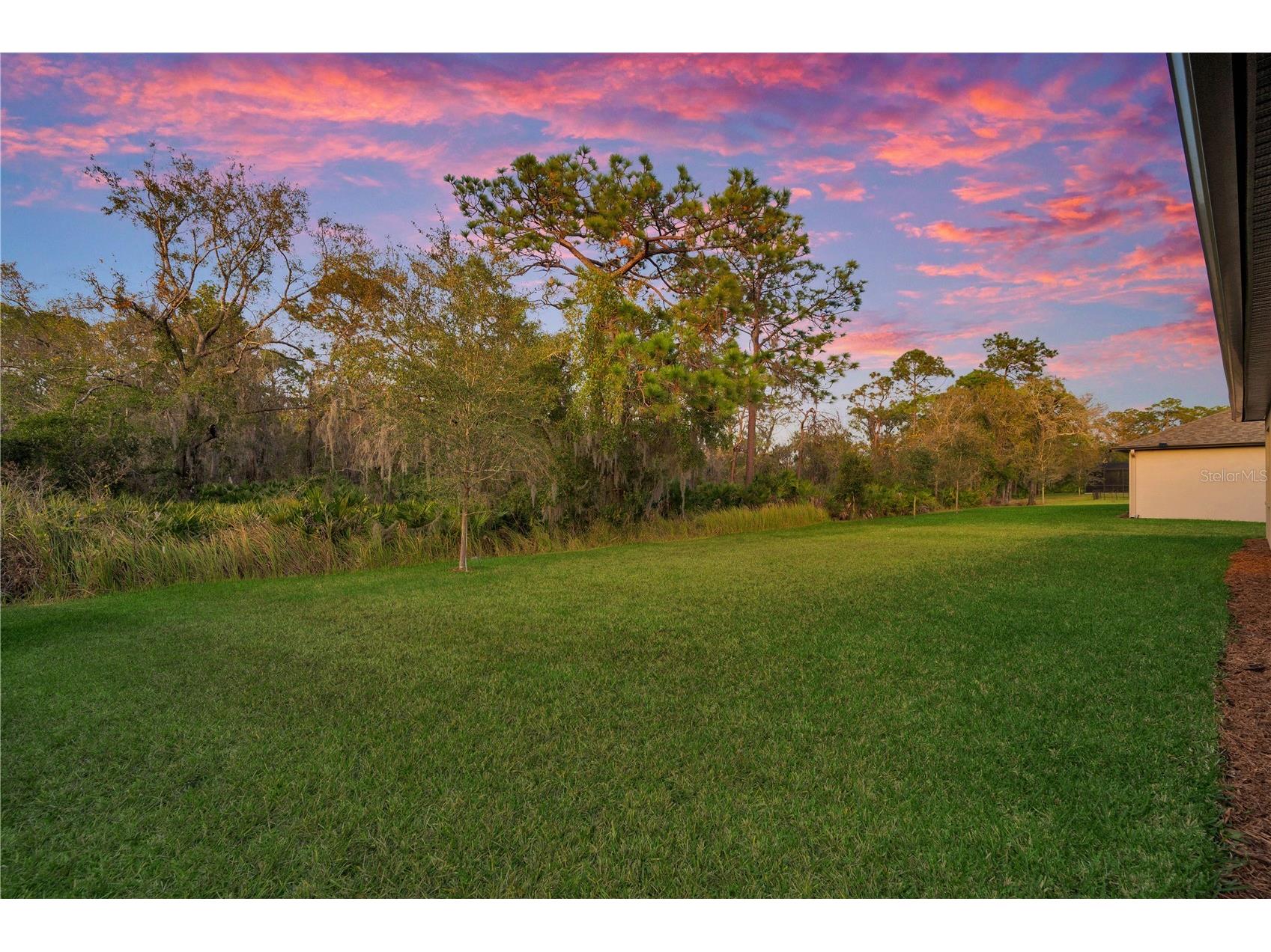 3908 Gaviota Drive Sun City Center FL 33573 TB8469302 image31