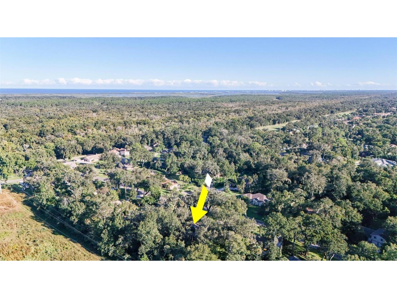 3908 Tano Drive Ormond Beach FL 32174 FC313308 image64