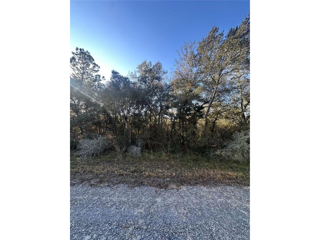 3908 W Tropic Lane Dunnellon FL 34433 TB8455730 image1