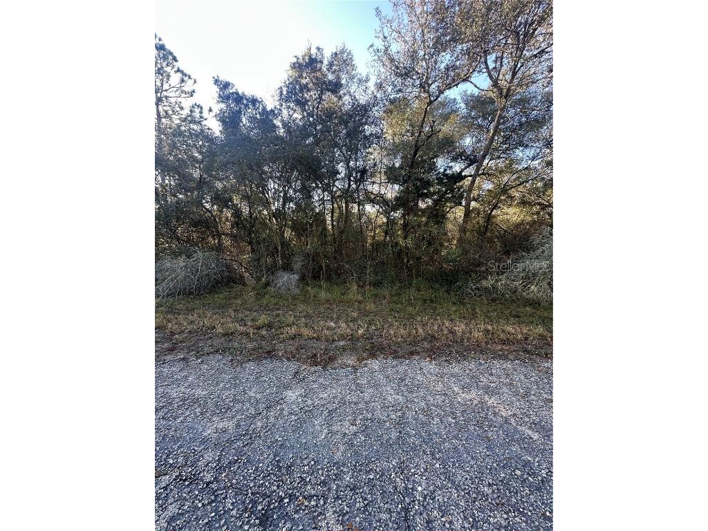 3908 W Tropic Lane Dunnellon FL 34433 TB8455730 image2