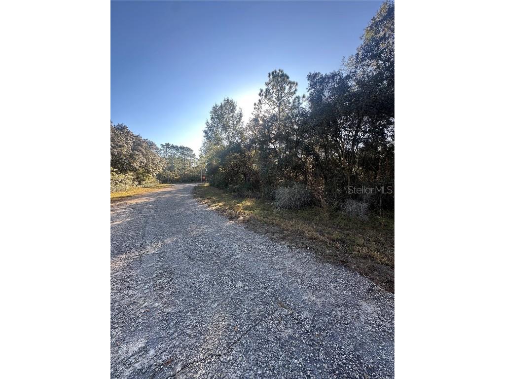 3908 W Tropic Lane Dunnellon FL 34433 TB8455730 image3