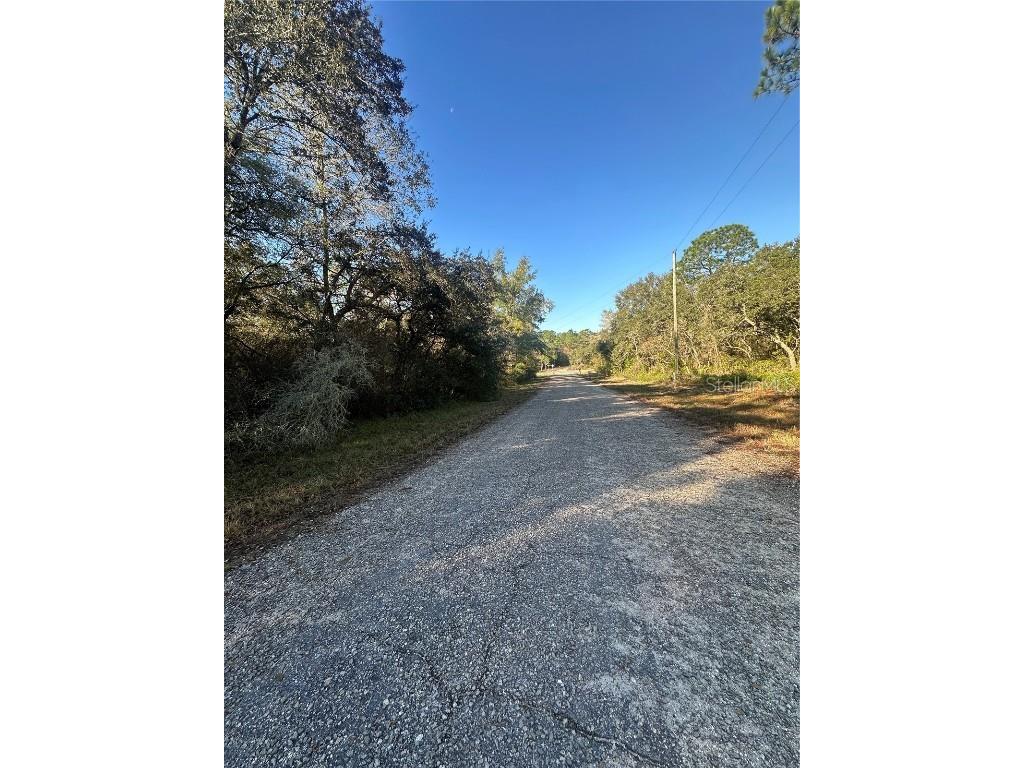 3908 W Tropic Lane Dunnellon FL 34433 TB8455730 image4