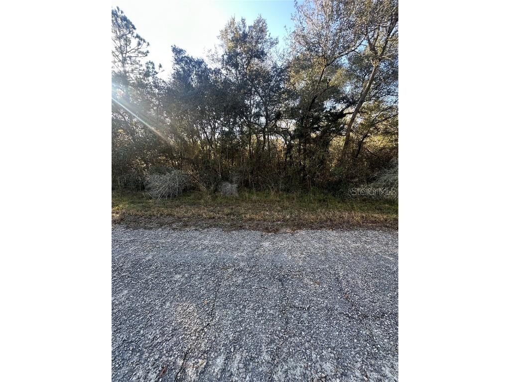 3908 W Tropic Lane Dunnellon FL 34433 TB8455730 image5